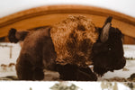 Load image into Gallery viewer, Bighorn the Bison

